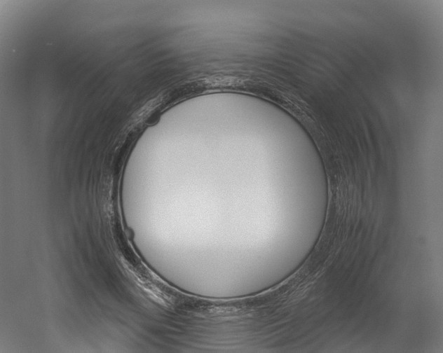 X0000052550490200507010849