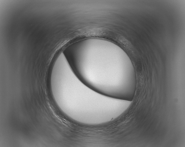 X0000052550491200507010849