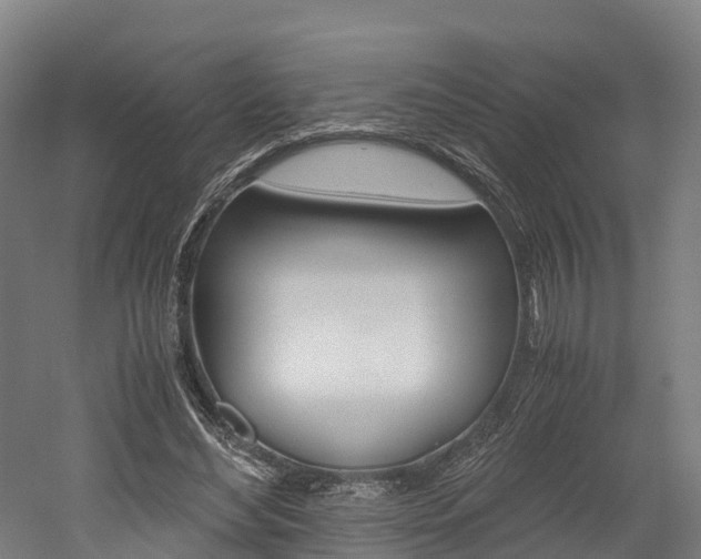 X0000052550492200507010849