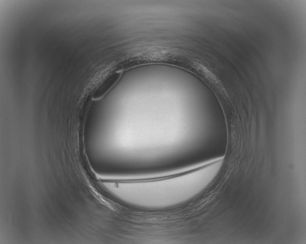 X0000052550493200507010849