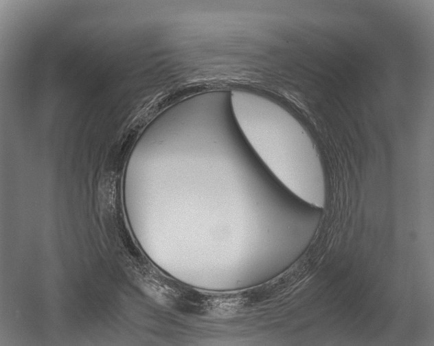 X0000052550495200507010849