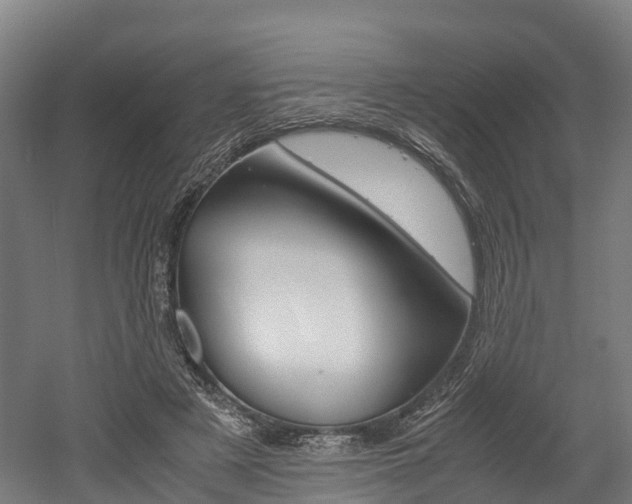 X0000052550497200507010849