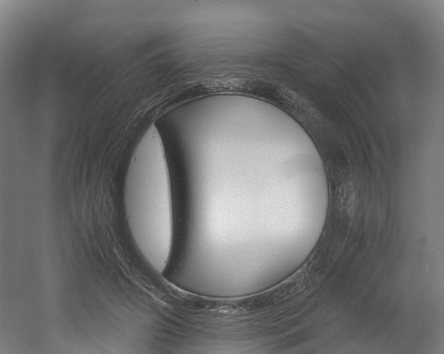 X0000052550498200507010849
