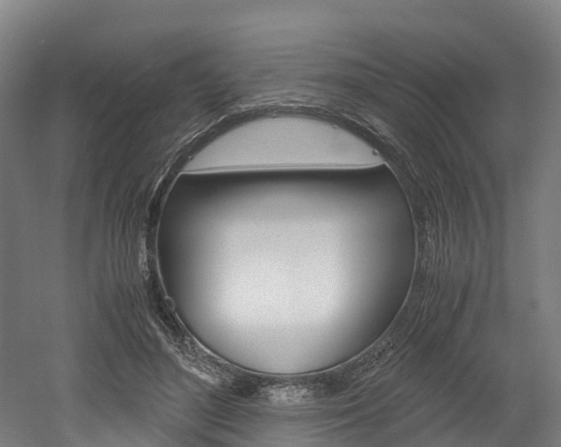 X0000052550500200507010849