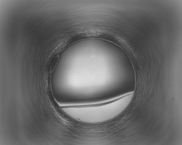 X0000052550501200507010849