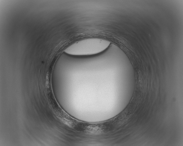 X0000052550502200507010849