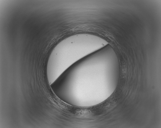X0000052550503200507010849