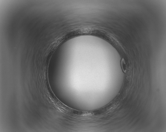 X0000052550505200507010848