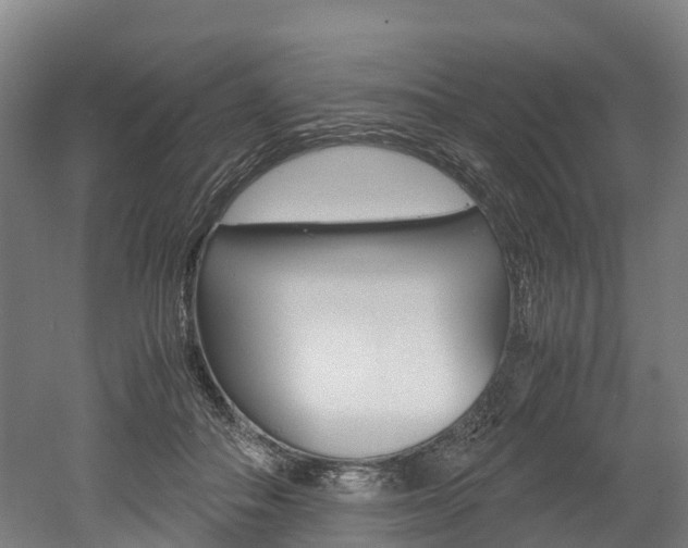 X0000052550506200507010848