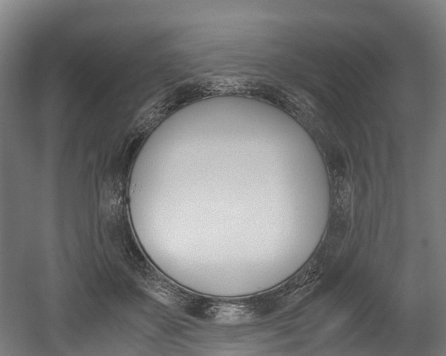 X0000052550507200507010848