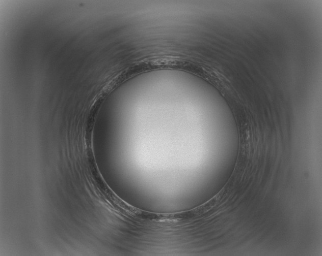 X0000052550508200507010848