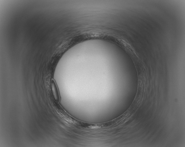 X0000052550509200507010848
