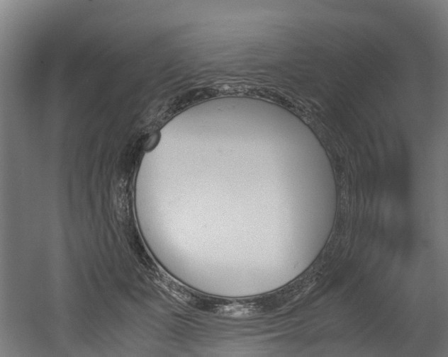 X0000052550511200507010848