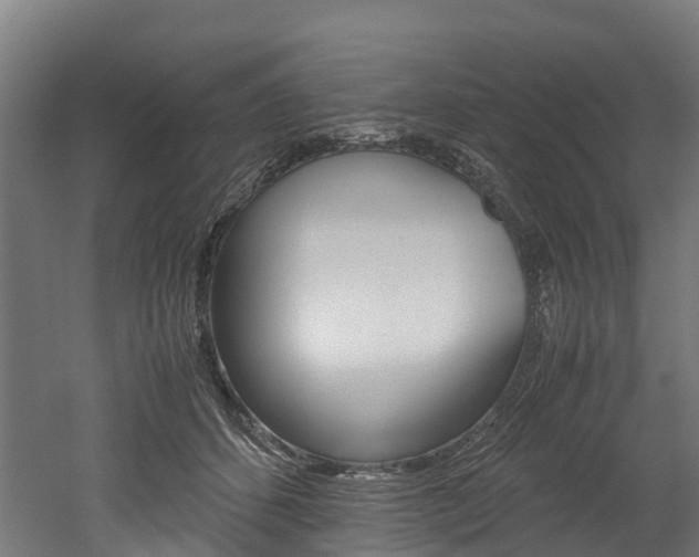 X0000052550512200507010848