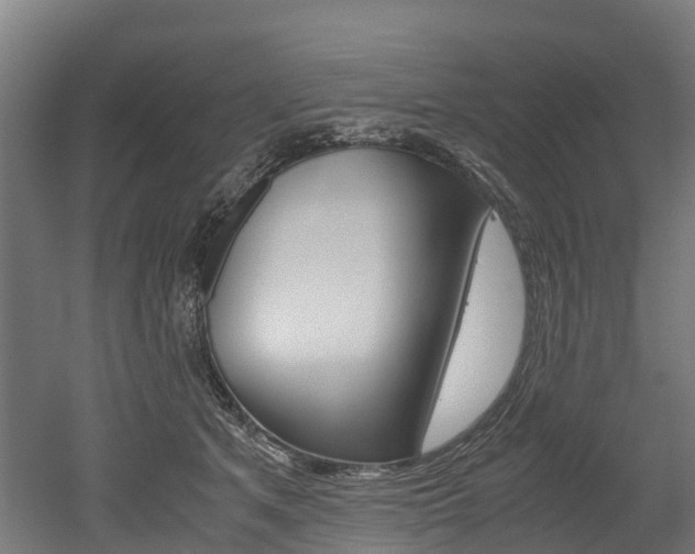 X0000052550513200507010848