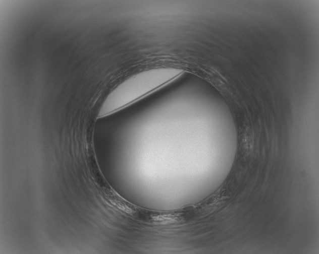 X0000052550516200507010848