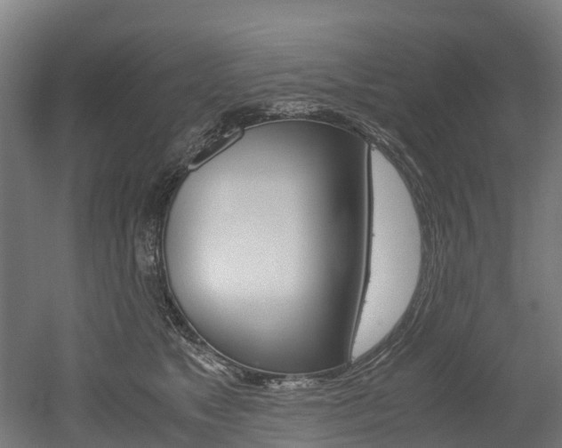 X0000052550517200507010848
