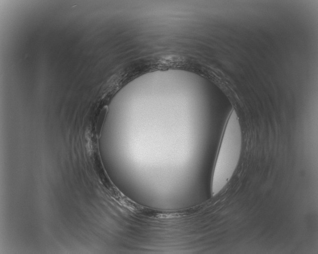 X0000052550520200507010848