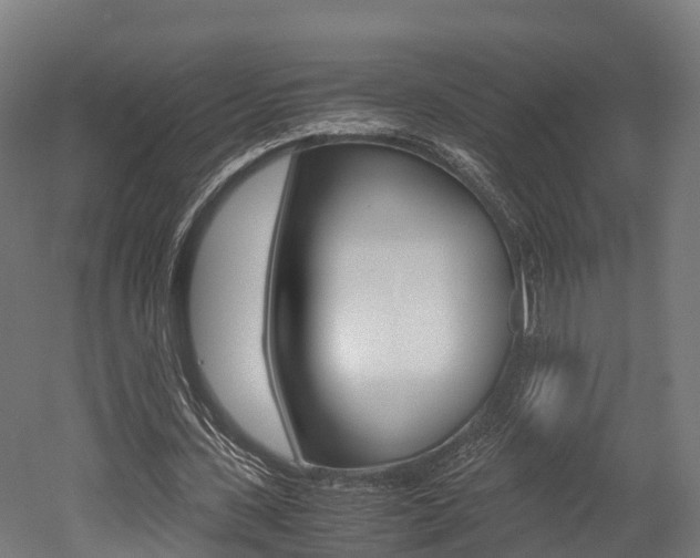 X0000052550531200507010847