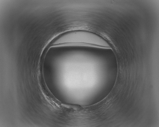 X0000052550532200507010847