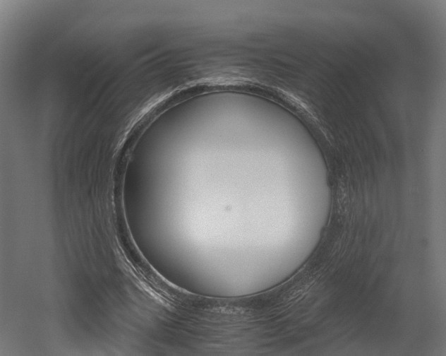 X0000052550535200507010847