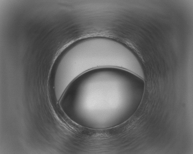 X0000052550536200507010847