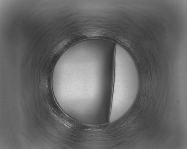 X0000052550539200507010847
