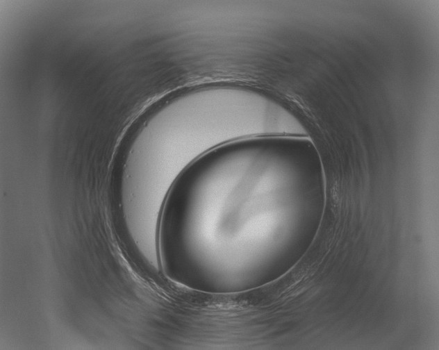 X0000052550540200507010847