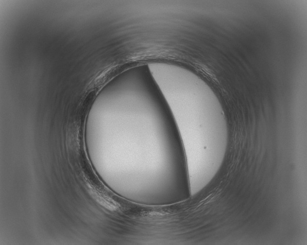 X0000052550542200507010848