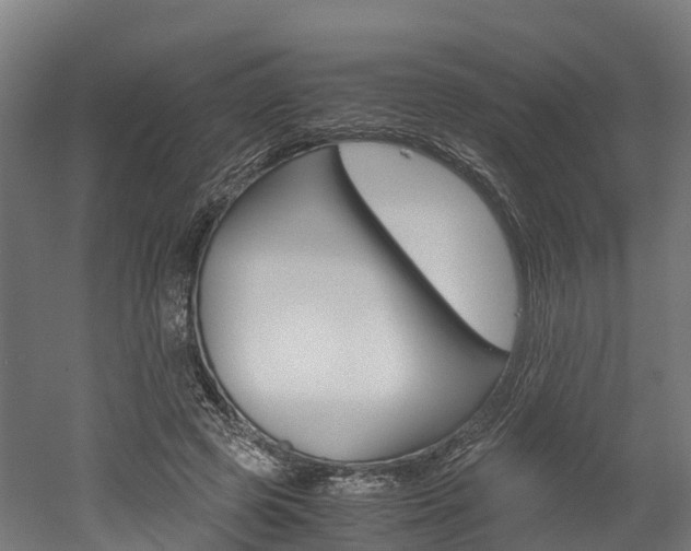 X0000052550545200507010848