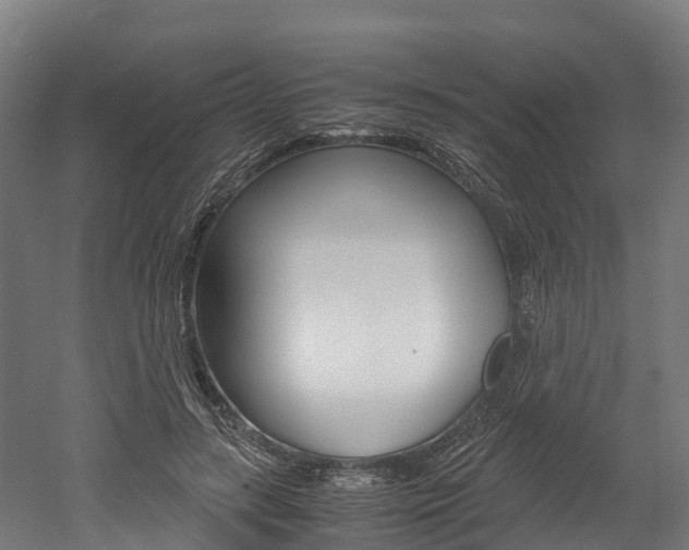 X0000052550547200507010848