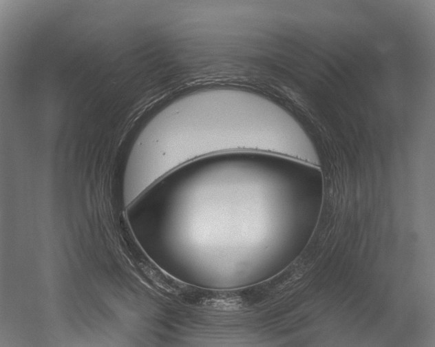 X0000052550548200507010848