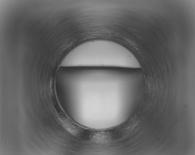 X0000052550550200507010848