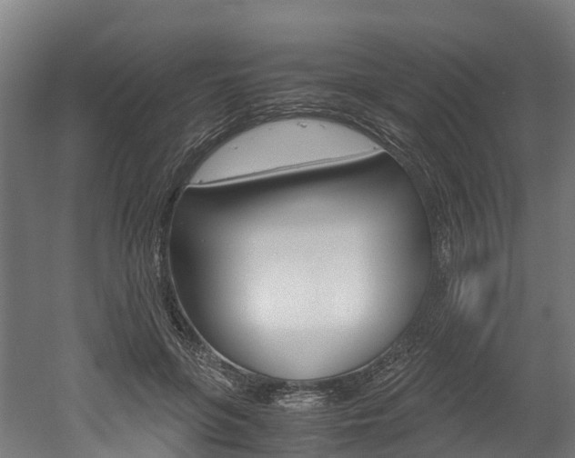 X0000052550551200507010848