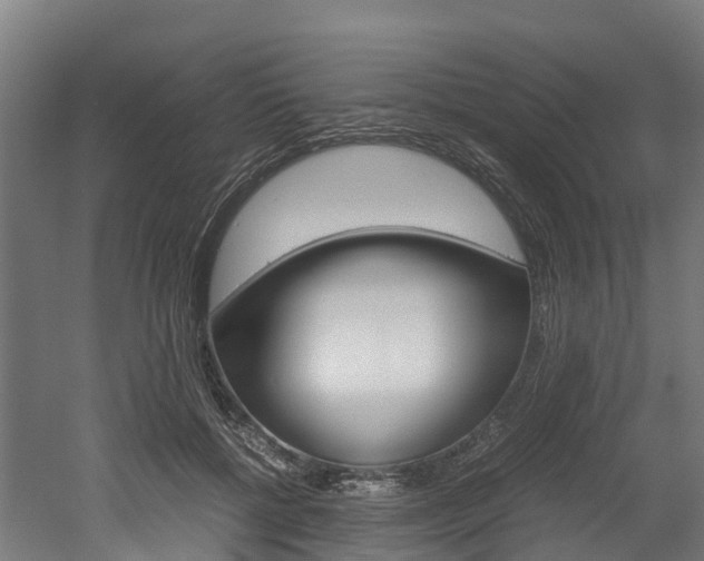 X0000052550552200507010848