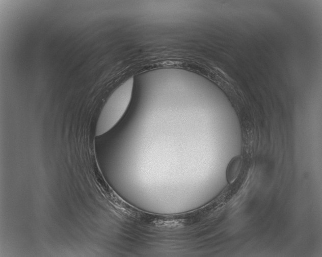 X0000052550553200507010848