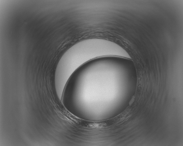 X0000052550558200507010848