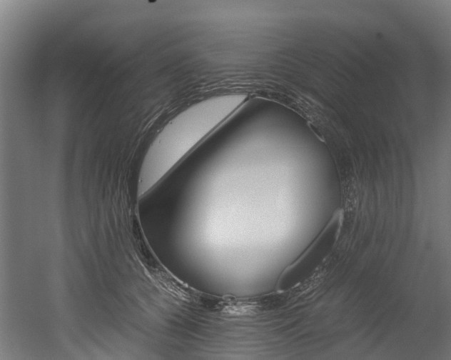 X0000052550560200507010848