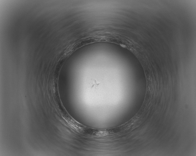 X0000052550562200507010848