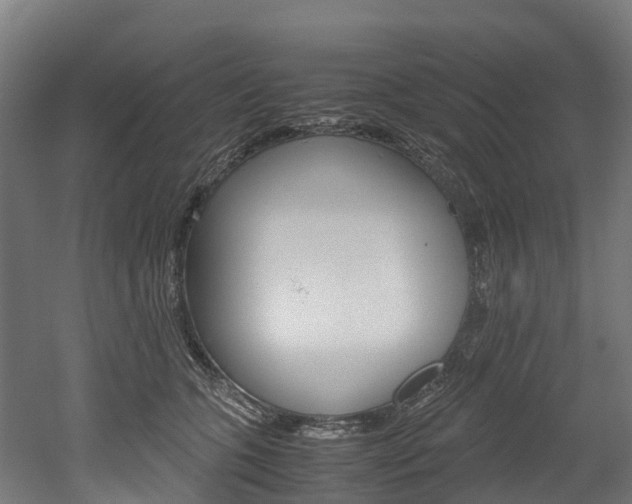 X0000052550563200507010848