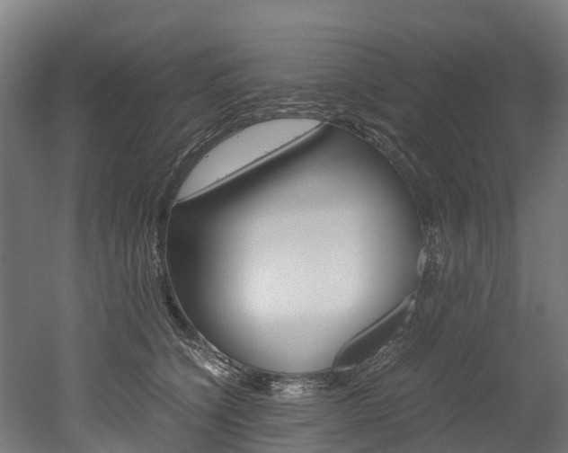 X0000052550564200507010848