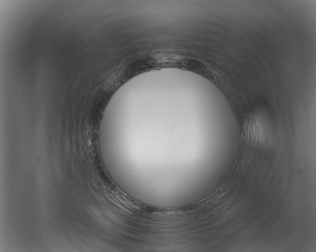 X0000052550567200507010848