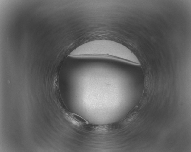 X0000052550574200507010848