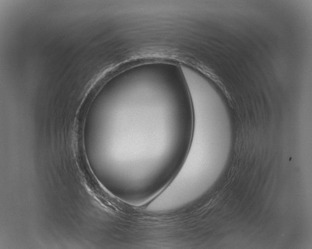 X0000052550580200507010847