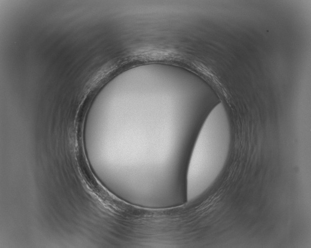 X0000052550582200507010847