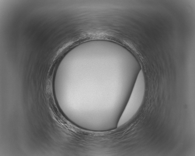 X0000052550583200507010847