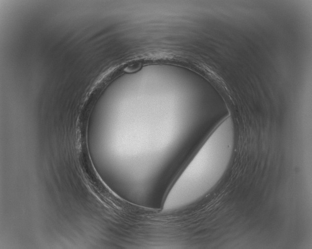 X0000052550584200507010847