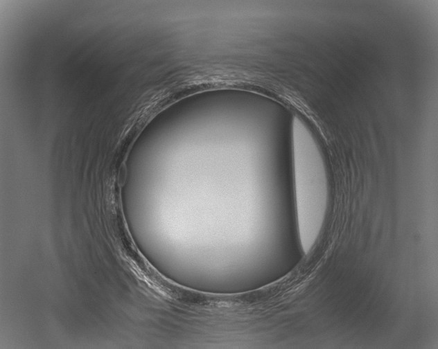 X0000052550585200507010847