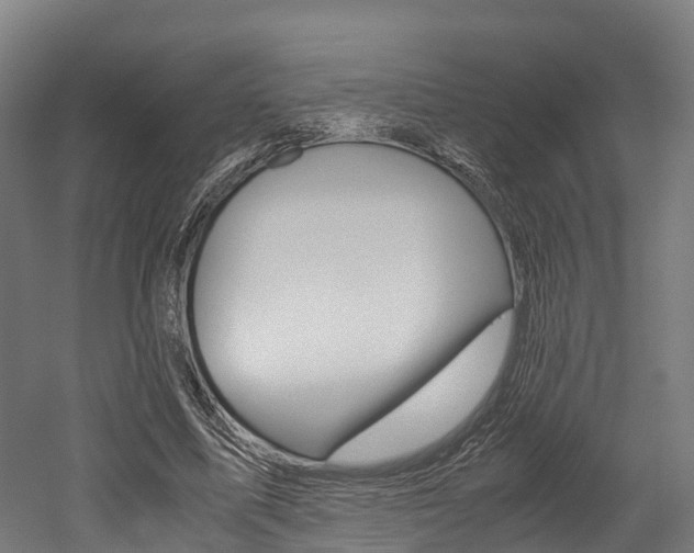 X0000052550587200507010847