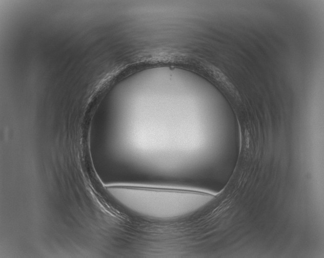 X0000052550588200507010847
